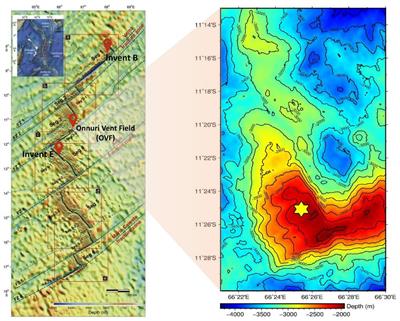 Microbial Community Structure and Functional Potential of Deep-Sea Sediments on Low Activity Hydrothermal Area in the Central Indian Ridge